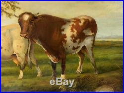 Antique Large Oil on Canvas Painting Signed Cooper Three Cows in Landscape