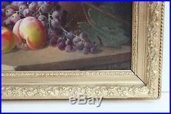 Antique S. FANTONI Still Life oil painting on canvas, Fruits, Framed