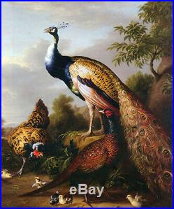 Art large Oil painting birds peacocks with hen chicks in view canvas 24x36