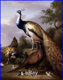 Beautiful Oil painting Tobias Stranover Peacock, Hen and a Landscape on canvas