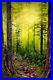 Bob-Ross-Style-Original-Oil-Painting-as-the-forest-turns-24x36-canvas-01-rbx