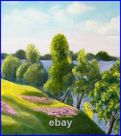 Country Landscape Oil Painting Original Art On Canvas Wild Meadow River Flowers