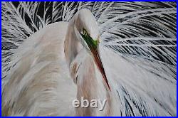 Great White Egret in Breeding Plumage Nature/Wildlife Art on Canvas