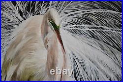 Great White Egret in Breeding Plumage Nature/Wildlife Art on Canvas