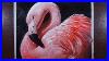 How-To-Paint-A-Flamingo-Oil-On-Canvas-Step-By-Step-Tutorial-01-hhhx