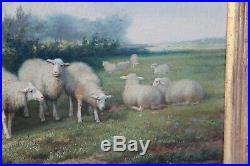 Jef Louis Van Leemputten Belgian, 1865-1948 oil canvas antique painting sheep