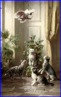 Nice Oil painting Carl Reichert Animals Cats and the cockatoo Parrot canvas