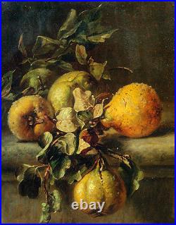 No framed Oil painting beautiful still life fruits Quinces on a Ledge canvas art