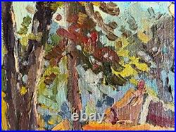 Oil painting Cabin in the Carpathians Ukrainian painter Canvas Framed original