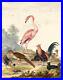 Oil-painting-Flamingo-and-Exotic-Poultry-in-Landscape-Johannes-van-Bronckhorst-01-bez
