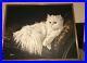Vintage-70-s-80-S-MCM-Letterman-Painting-White-Persian-Cat-01-ikr