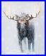 Western-Winter-Moose-Painting-Original-Oil-on-Canvas-Signed-by-Artist-01-pg